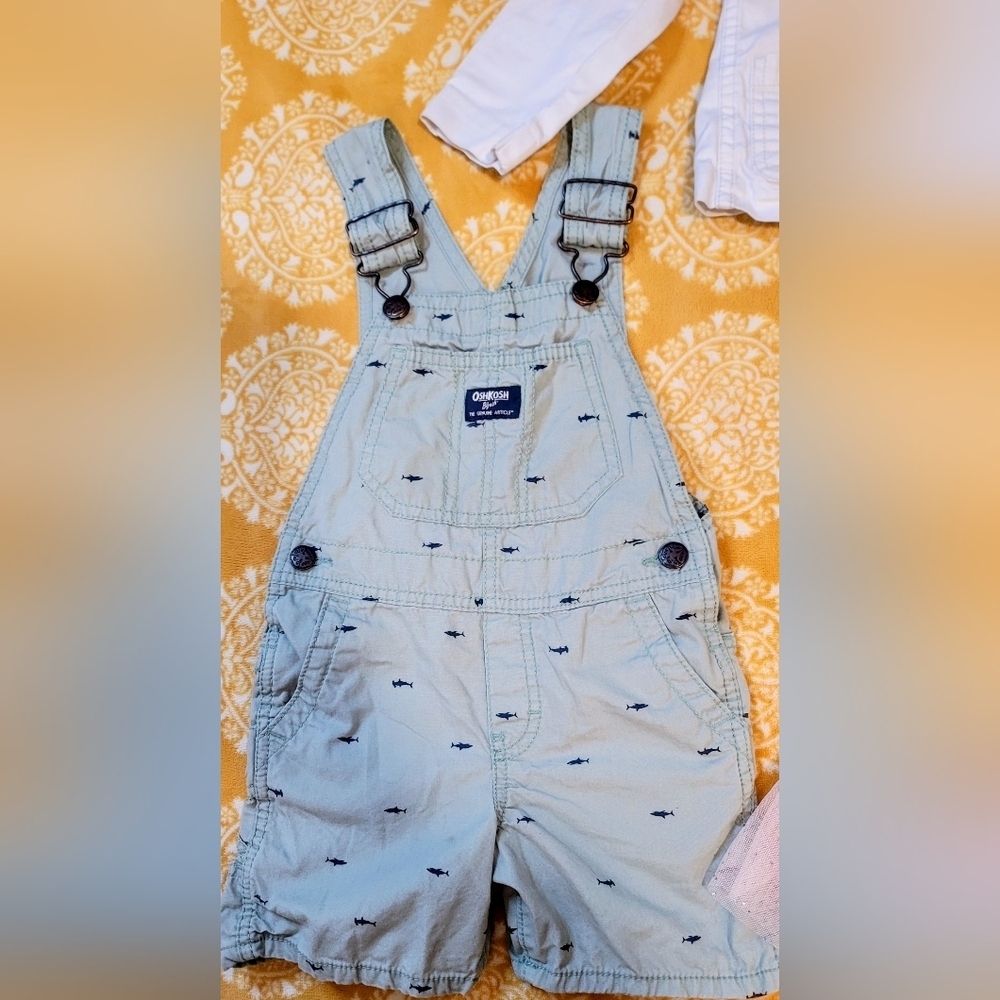 Oshkosh B'Gosh And Genuine Baby Girls And Boys Lot 9mo And 3T - Picture 2 of 11